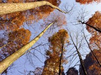 �żҽ�����Դ��ɫ���ˡ�