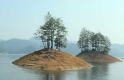 ������Ҽ�ɭ�ֹ�԰��ˮ����