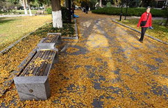 �����������·��Ͼ��ֻƽ�����