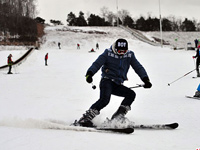 ������ѩ����̿�ҵ��