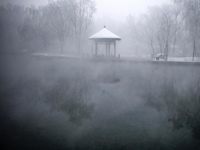 ��³ľ����������Ũ��������