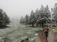 ������Ůɽӭ����ѩ������