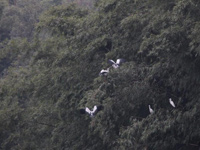 �������������Խ����