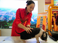 2013�в�ũ���ῪĻ��