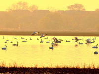 ����۶����������ѹ��񼾽ڡ�