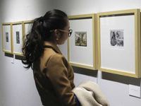 ����ٰ��׸�ľ��ľ�̰滭չ��