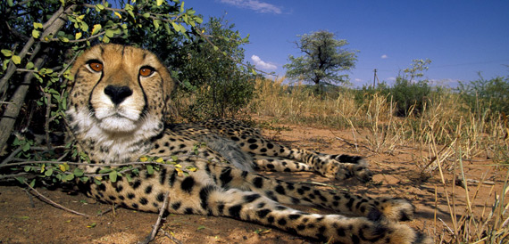 �������ױ��� �������Ĵ���֮����