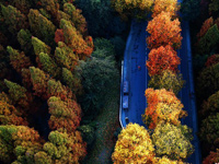 ���ĺ��ݳ�������ʷ羰Ѥ���续��