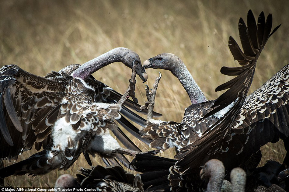 ���ҵ�����������Ʒ֮����������