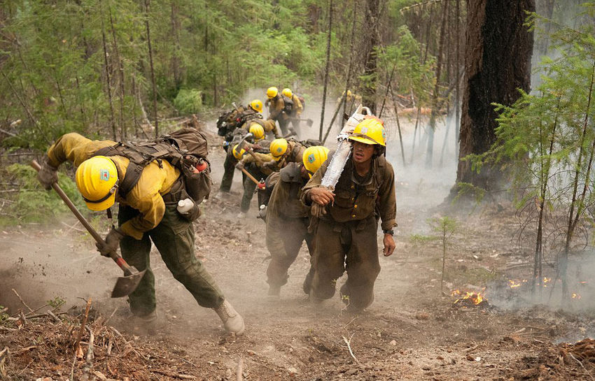 ��ɭ�ֻ���������Ա��Ұ�����