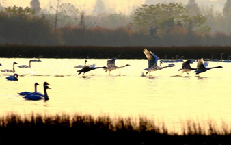 ����۶����������ѹ��񼾽ڡ�
