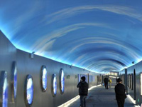 �������ˡ�������������