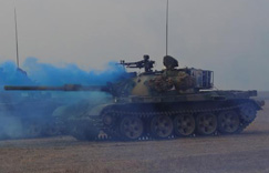 ��������ģ��Կ�������