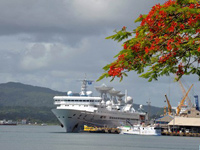 쳼��׶����߼�����