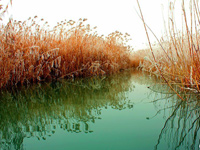 �½���˹�ں���������������