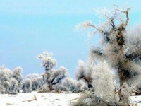 �½��ͳ������֡�ѩװ�ع������ɾ���