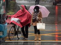 �����������Ϯ�� ������С�ȫ����װ����������