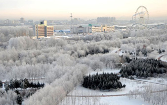 �ں�����ڡ���� ���������������ɾ���