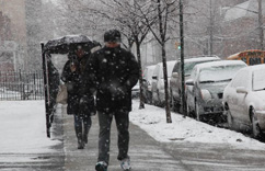 �������������Ⱪ��ѩϮ����