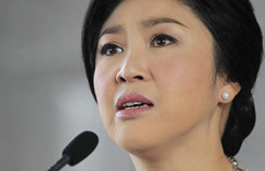 ̩������Ӣ����������ֹͣʾ����