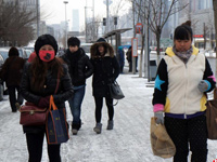 ������ѩ ����������衱