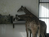 �����״������ķ��޳���¹�仧֣�ݡ�