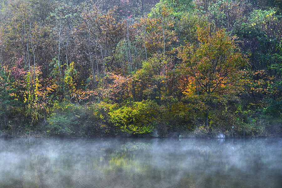 ������̨���������Ρ���ľ��̤Ҷ����ͼ�ǣ��ع���Ȼ��