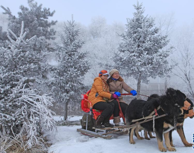 ������ڡ�� �ο��ֿ�����