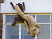 �Ϸǡ�����������ƴ�����͵��ߡ�