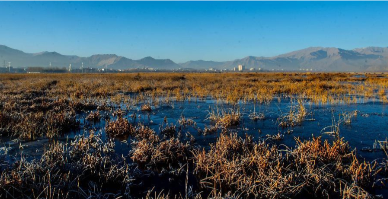 ����Ͷ��Լ7��Ԫ����������֮�Ρ���