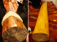 ������ľͷ����½��������