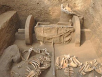 ��������ë��ƺ��ַ����ǧ����ܴ����