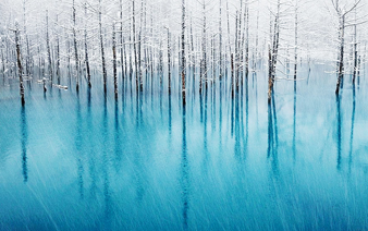 ȫ�򶬼���ɫ���� ����ѩ�������ɾ���