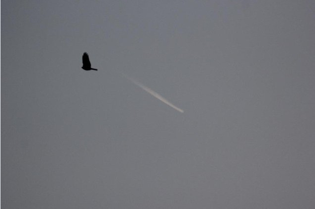 �Ͼ��Ͽ��ֲ����������� Ŀ��������ΪUFO��