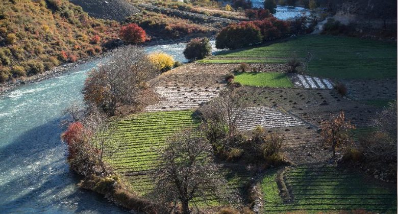 �Ĵ�����ɳ���ӹ���԰����