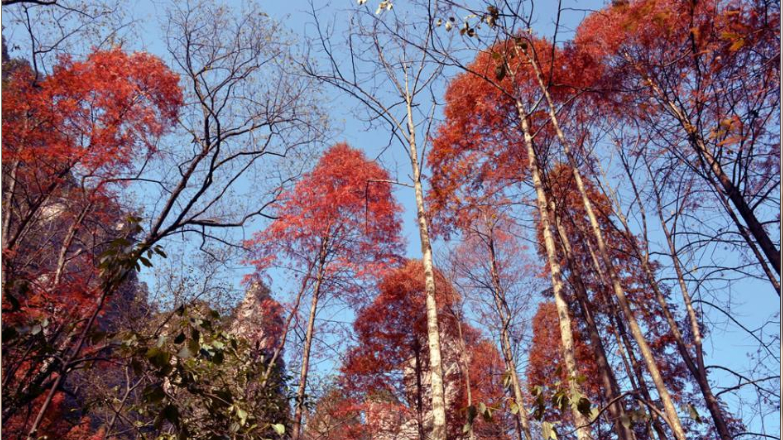 �żҽ�����Դ��ɫ���ˡ�