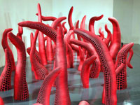 �ձ���������Ʒ���Ϻ�չ����