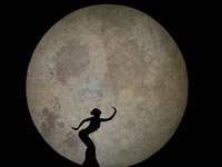 ԭ��̬����ʢ�� ������ӳ���������������ݡ�