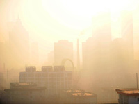 �����峿������Ϯ��