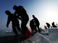 �ɻ����ϡ��ɱ��ˡ���