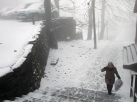 ����®ɽ���ֽ�ѩ������