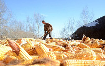 ����ũ��ճ�������������֮����