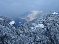 江西庐山雪景迷人”