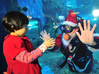 ���ϡ�ˮ��ʥ�����ˡ��ɷ����