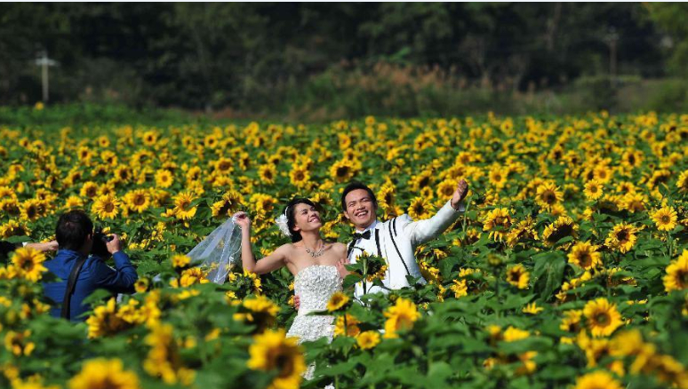 ���տ�����������