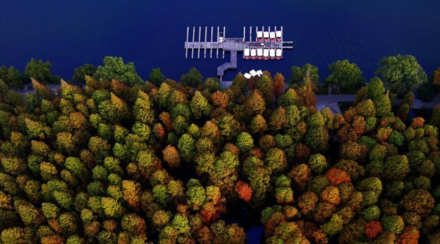 ���ĺ��ݳ�������ʷ羰Ѥ���续��