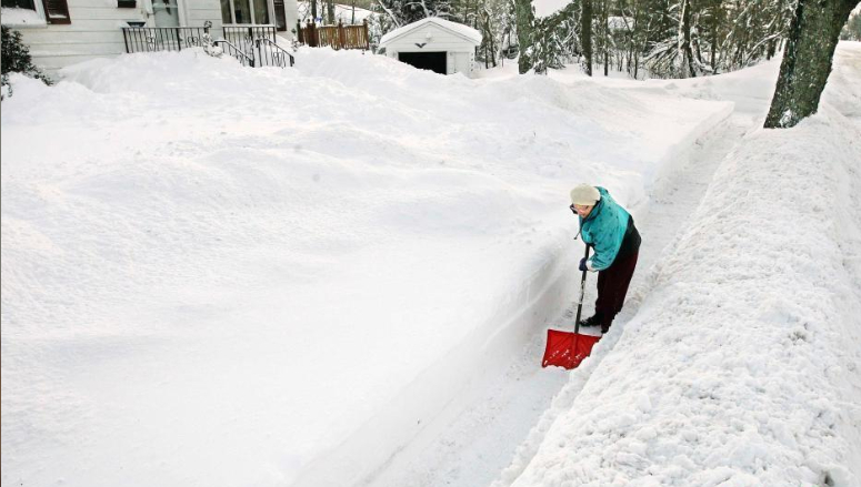 �������������ѩ ѧУͣ���̵�Ъ��