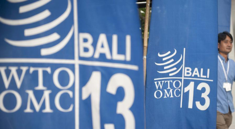 �й�������������ʩ�����������WTO��������������Ͻ��㡱