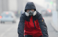 ��������������Ⱦ���ء�