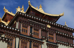 ������������������ء�С��������������������Ӱ��